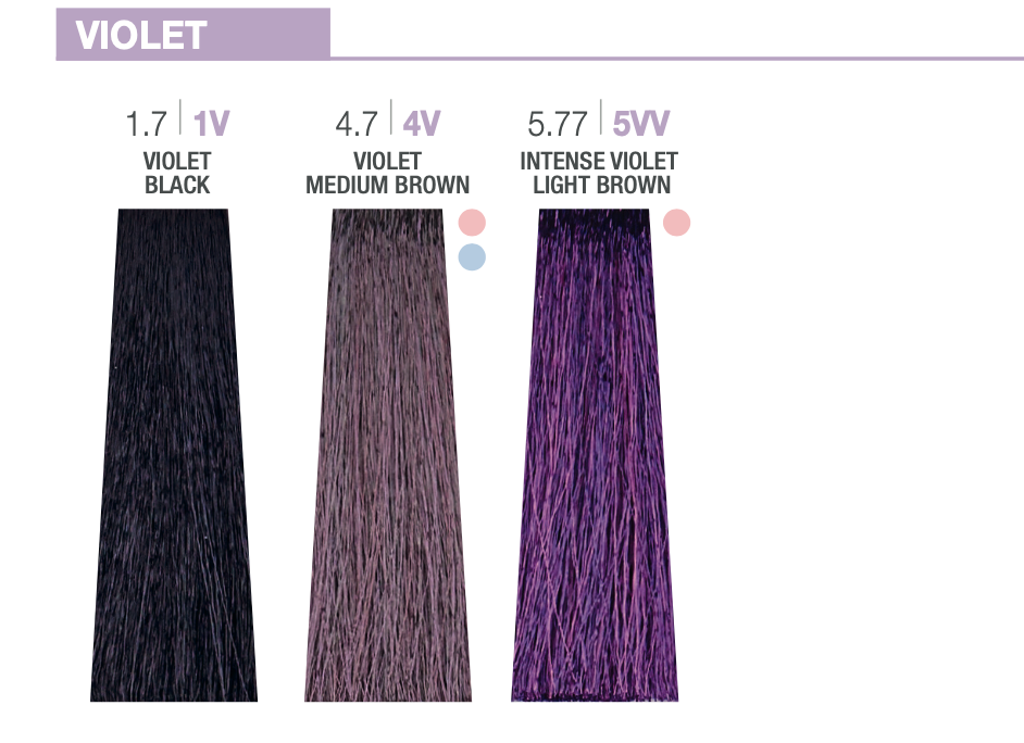 Creative Colour - Voilet