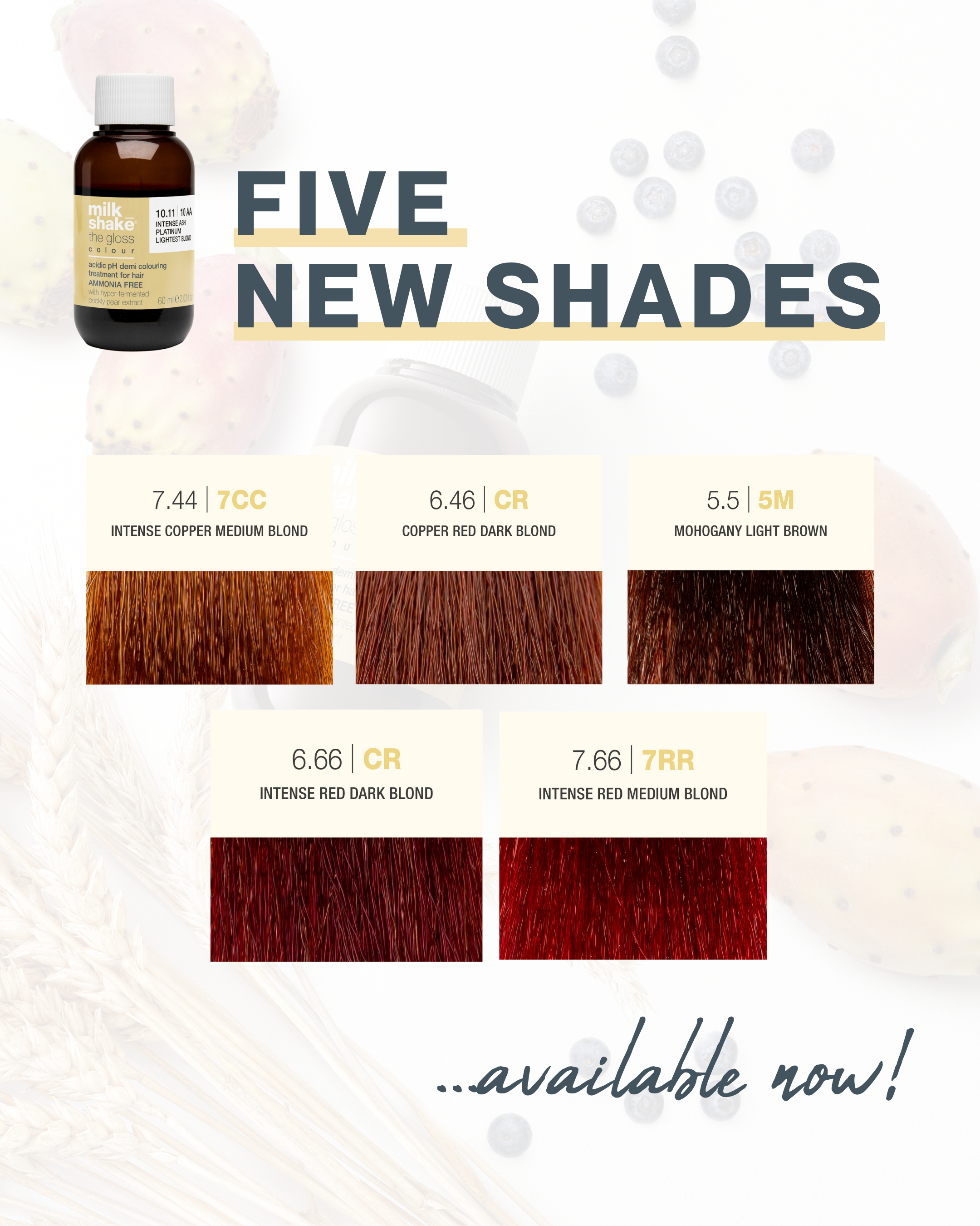 5 New The Gloss Shades