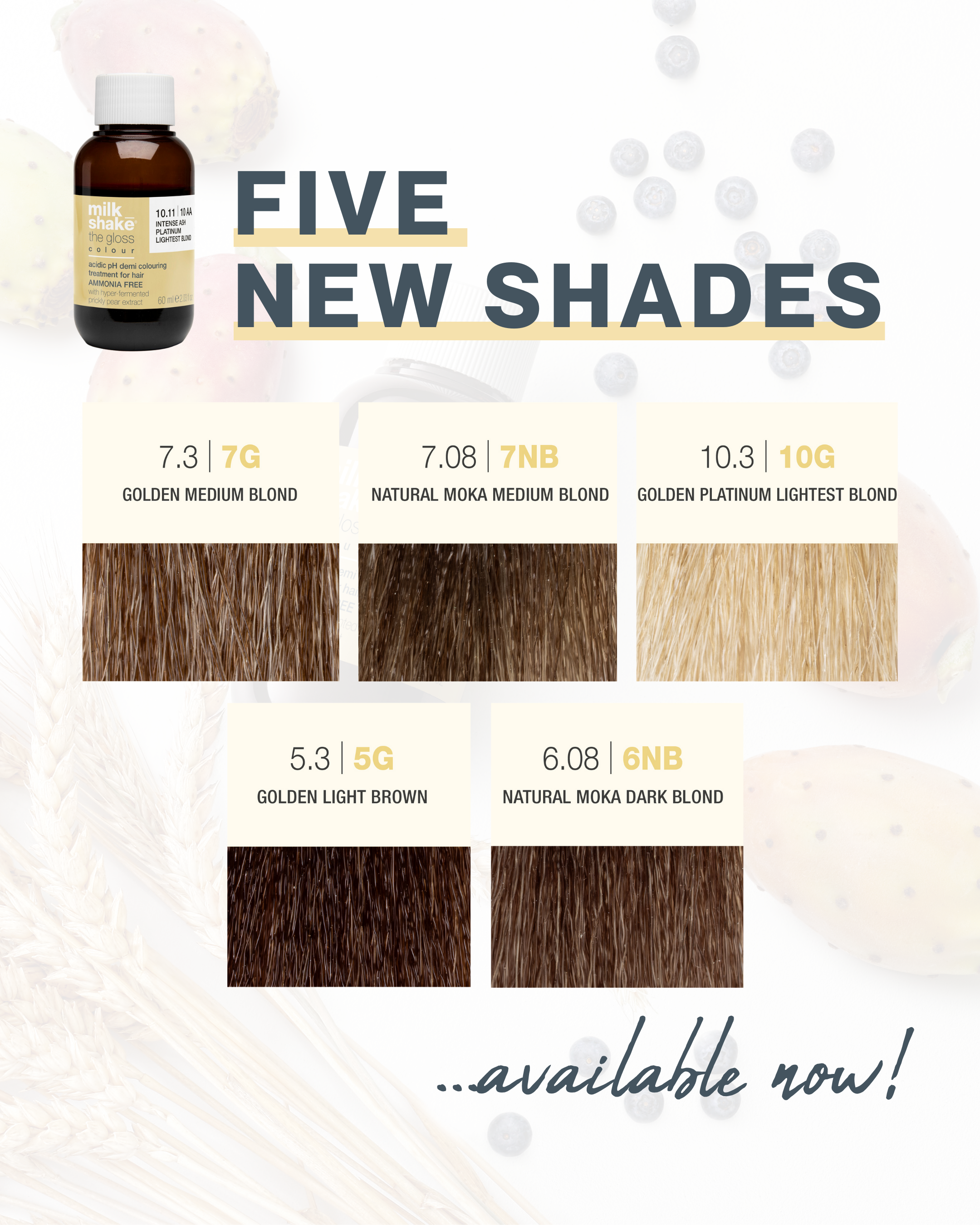 The Gloss - 5 NEW shades for 2026