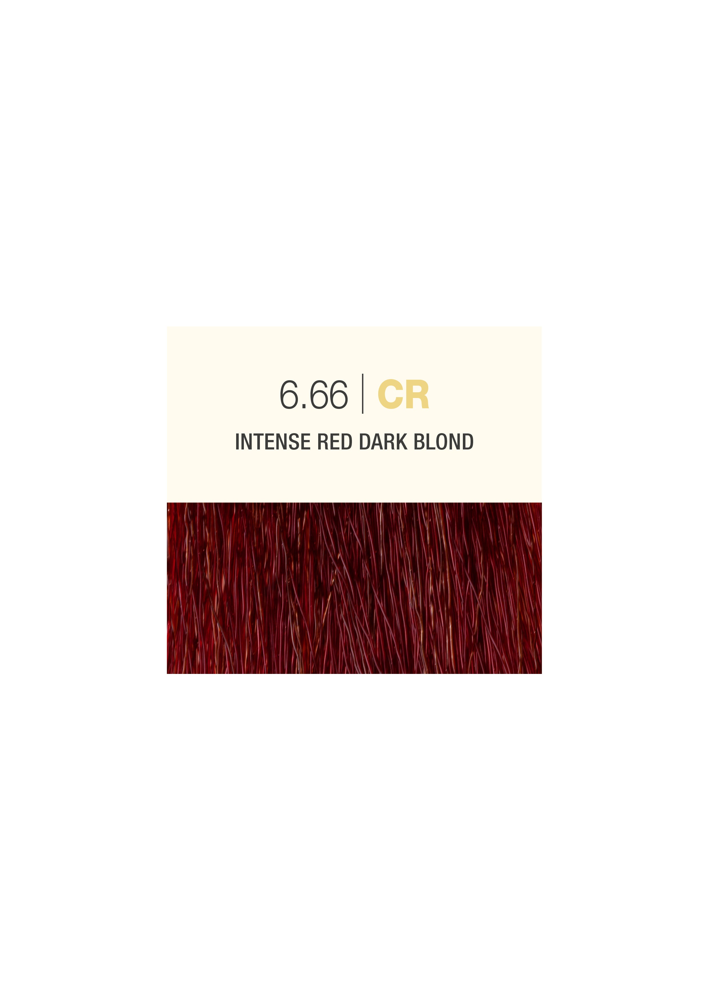 5 New The Gloss Shades