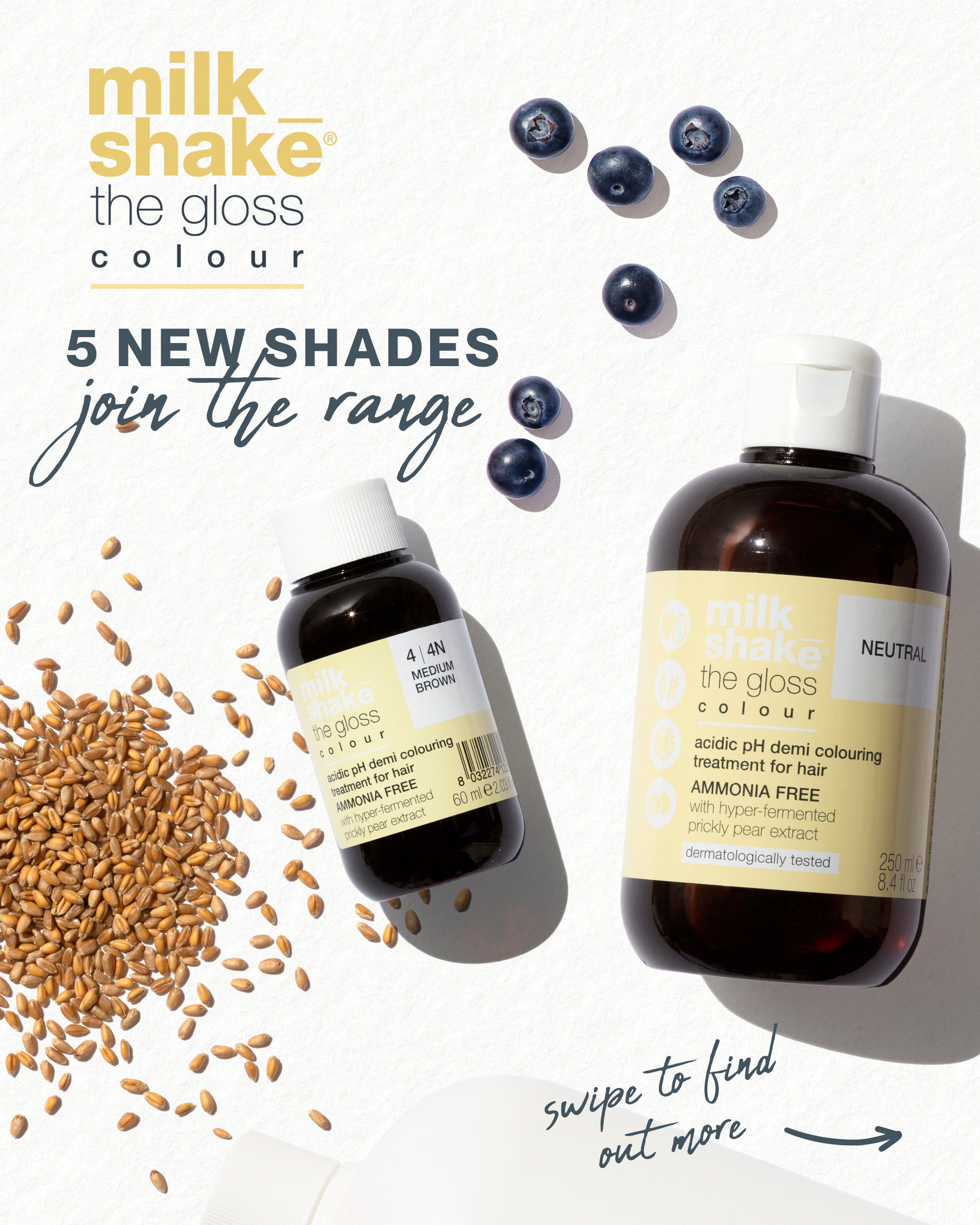 The Gloss - 5 NEW shades for 2026